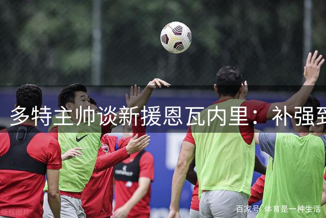 多特主帅谈新援恩瓦内里：补强到位展现即战力